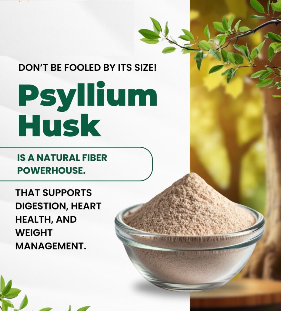Psyllium Husk Suppliers in India