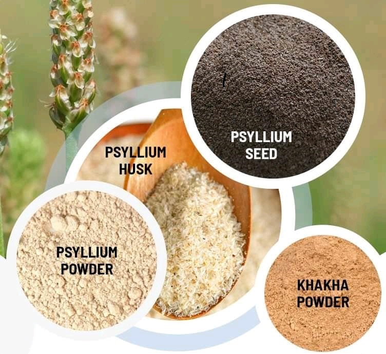 Psyllium Husk Exporter in India