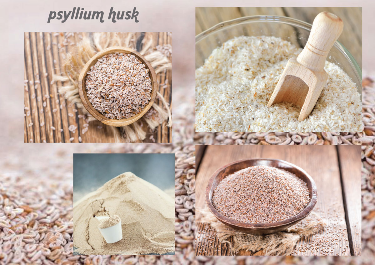Psyllium Husk supplier